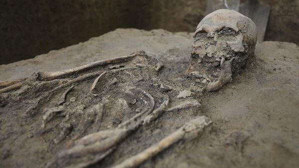 Potret Kerangka Berusia 500 Tahun yang Ditemukan di Kolombia