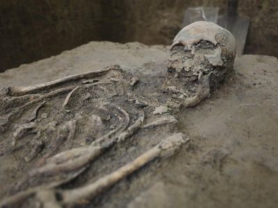 Potret Kerangka Berusia 500 Tahun yang Ditemukan di Kolombia