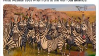 Para pemain PSG kelabakan sampai Neymar dibilang bingung tak kuasa menembus kumpulan pemain MU yang di laga ini pakai jersey tandang bak zebra. (Foto: internet/Twitter)