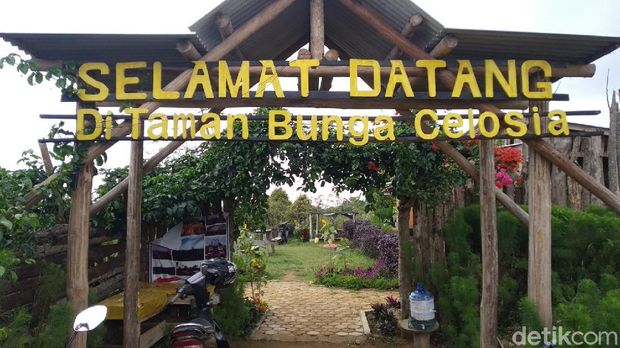 Taman Celosia di Kuningan