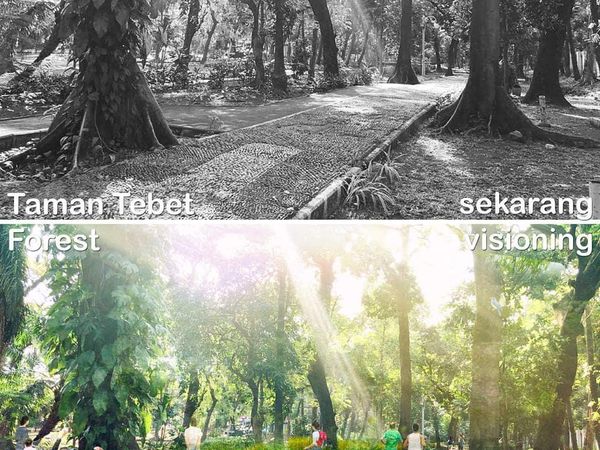 Intip Rancangan Revitalisasi Taman Tebet Jadi Eco Garden