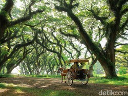 Jadi Instrumen Pemulihan Ekonomi, Ini Strategi Banyuwangi di Sektor Wisata