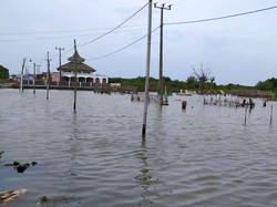 Banjir Rob Rendam 4 Desa di Muaragembong Kabupaten Bekasi