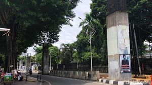 Mangkrak 16 Tahun, Begini Kondisi Tiang Monorel Jakarta