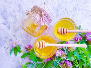 10 Manfaat Clover Honey, Kaya Antioksidan yang Baik untuk Kesehatan