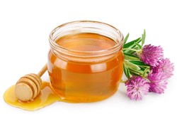 Madu Clover Honey, Nutrisi hingga Manfaat Sehatnya