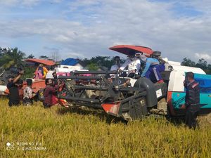 Panen Raya 178 Ha di Sultra, Mentan Wanti-wanti KUR Petani