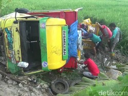 Gunakan Ban Vulkanisir, Truk Pengangkut Ikan Hilang Kendali-Terjun ke Sawah
