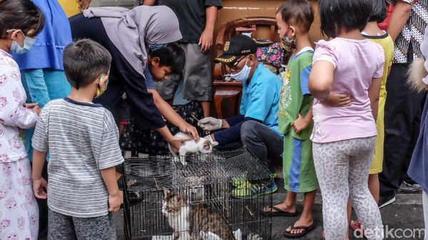 Dinas KPKP Jakarta Gerilya Vaksin Rabies Gratis