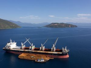 Hingga Q3 2020, Antam Catat Kinerja Segmen Nikel yang Positif