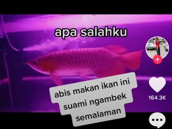 Goreng Ikan Red Arwana, Wanita Ini Curhat Suaminya Ngambek