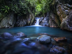5 Wisata Kekinian di Sentul Sampai Ikan Purba Bersirip Empat