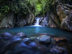 5 Wisata Kekinian di Sentul Sampai Ikan Purba Bersirip Empat