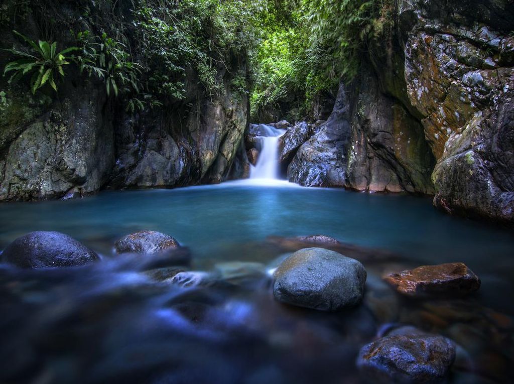 5 Wisata Kekinian di Sentul Sampai Ikan Purba Bersirip Empat 5 Wisata Kekinian di Sentul Sampai Ikan Purba Bersirip Empat
