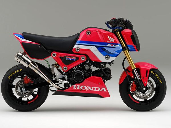 Tampil Berani, Ini Penampakan Honda Grom Versi HRC