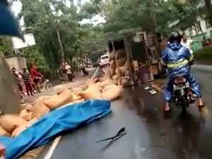 Niat Nyalip, Bus di Bojonegoro Malah Tabrak Truk hingga Terguling