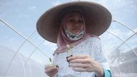 Keterbatasan Tak Menghambat Maisa Dalam Merintis Usaha