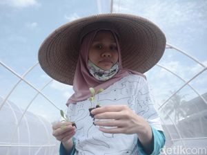 Keterbatasan Tak Menghambat Maisa Dalam Merintis Usaha