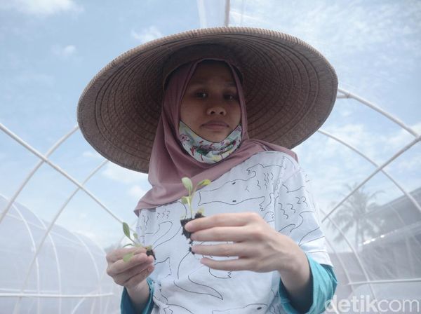 Keterbatasan Tak Menghambat Maisa Dalam Merintis Usaha