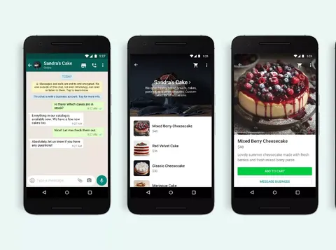 Layanan baru WhatsApp Business Layanan baru WhatsApp Business