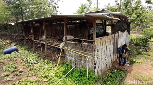 Penampakan Kandang Ayam yang Jadi Lokasi Pembunuhan Sadis Yulia