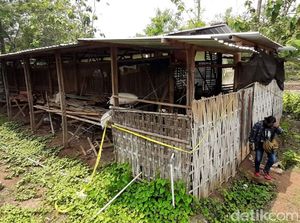 Penampakan Kandang Ayam yang Jadi Lokasi Pembunuhan Sadis Yulia