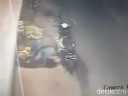 Viral Perempuan Berhijab di Probolinggo Curi Tanaman Hias