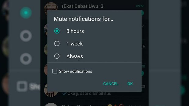 WhatsApp Luncurkan Mute Chat Selamanya