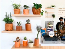 5 Coffee Shop Hits yang Populer di TikTok, Mampir Yuk!