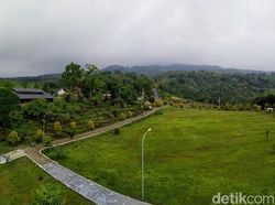 Cari Ide Liburan Cuti Bersama? Ke Kebun Raya Kuningan Saja