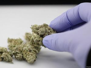 62 Santri di Jambi Diduga Keracunan Makanan Saat Hendak Divaksin COVID