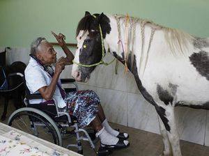 Kuda hingga Kambing Jadi Teman Para Lansia di Brasil Saat Pandemi
