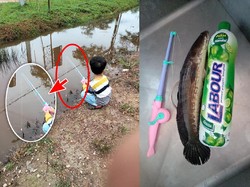 Pakai Pancingan Mainan, Bocah Ini Berhasil Tangkap Ikan Besar