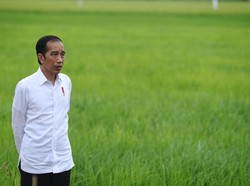 Jokowi Ajak Pemuda Jadi Petani, Kementan Pacu Modernisasi Pertanian