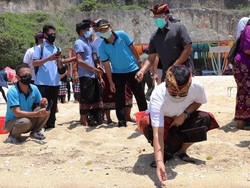 Wamen LHK Serahkan Karang Hias & Lepas Tukik di Pantai Pandawa