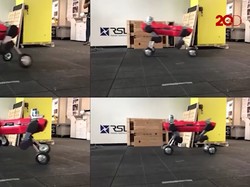 ANYmal, Robot Mirip Hewan yang Bergerak Super Lincah