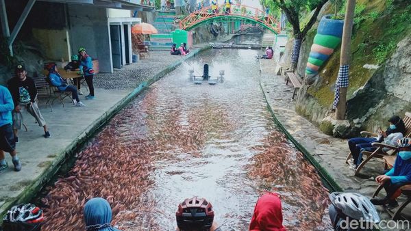 Sungai Gejigan di Klaten, Awalnya Kotor Kini Jadi Kolam Ikan