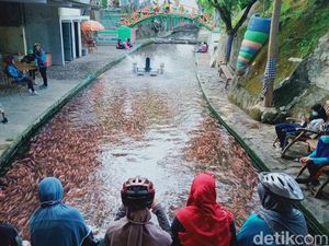 Sungai Gejigan di Klaten, Awalnya Kotor Kini Jadi Kolam Ikan Sungai Gejigan di Klaten, Awalnya Kotor Kini Jadi Kolam Ikan
