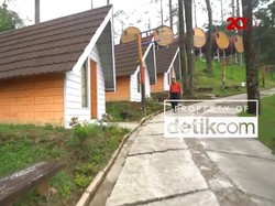 Libur Panjang, Wisata Menginap di Tengah Hutan