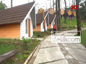 Libur Panjang, Wisata Menginap di Tengah Hutan Libur Panjang, Wisata Menginap di Tengah Hutan