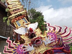 Bade Setinggi 11 Meter Roboh Timpa Rumah Warga di Bali