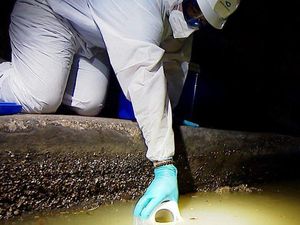 Ilmuwan Inggris Teliti Jejak Corona di Saluran Limbah untuk Deteksi Wabah