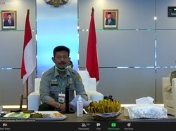 Kementan Targetkan Produksi Beras 20 Juta Ton di Musim Tanam Pertama