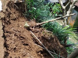 Sehari 14 Titik Longsor di Banjarnegara, Warga Terdampak Mengungsi