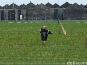 Video: Ara Minta Pengembang Tak Pakai Lahan Sawah untuk Perumahan Video: Ara Minta Pengembang Tak Pakai Lahan Sawah untuk Perumahan