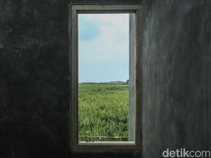 RI Darurat Lahan Pangan, Ini Buktinya RI Darurat Lahan Pangan, Ini Buktinya