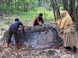 Melihat Konservasi Arca Ganesha-Watu Wayang di Semarang