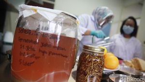 Perkuat Imun Dengan Selai Jahe Merah di Masa Pandemi