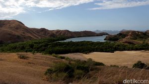 Pesona Rumah Komodo di Loh Buaya Pulau Rinca