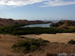 Pemprov NTT Jawab Desakan UNESCO soal Setop Proyek Infrastruktur TN Komodo Pemprov NTT Jawab Desakan UNESCO soal Setop Proyek Infrastruktur TN Komodo